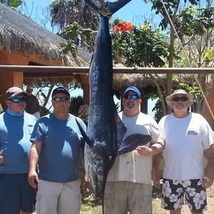 Meet your Posher, Tom